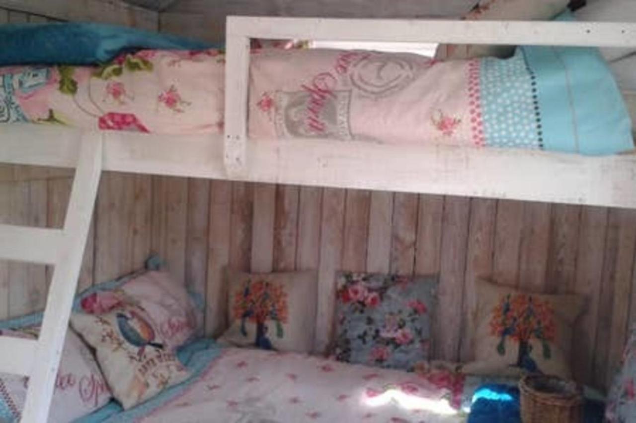 Ruby Shepherds Hut Sleeps 4 Rhayader Εξωτερικό φωτογραφία